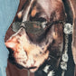 Jogg-Jeans im Used Look Dog - denim