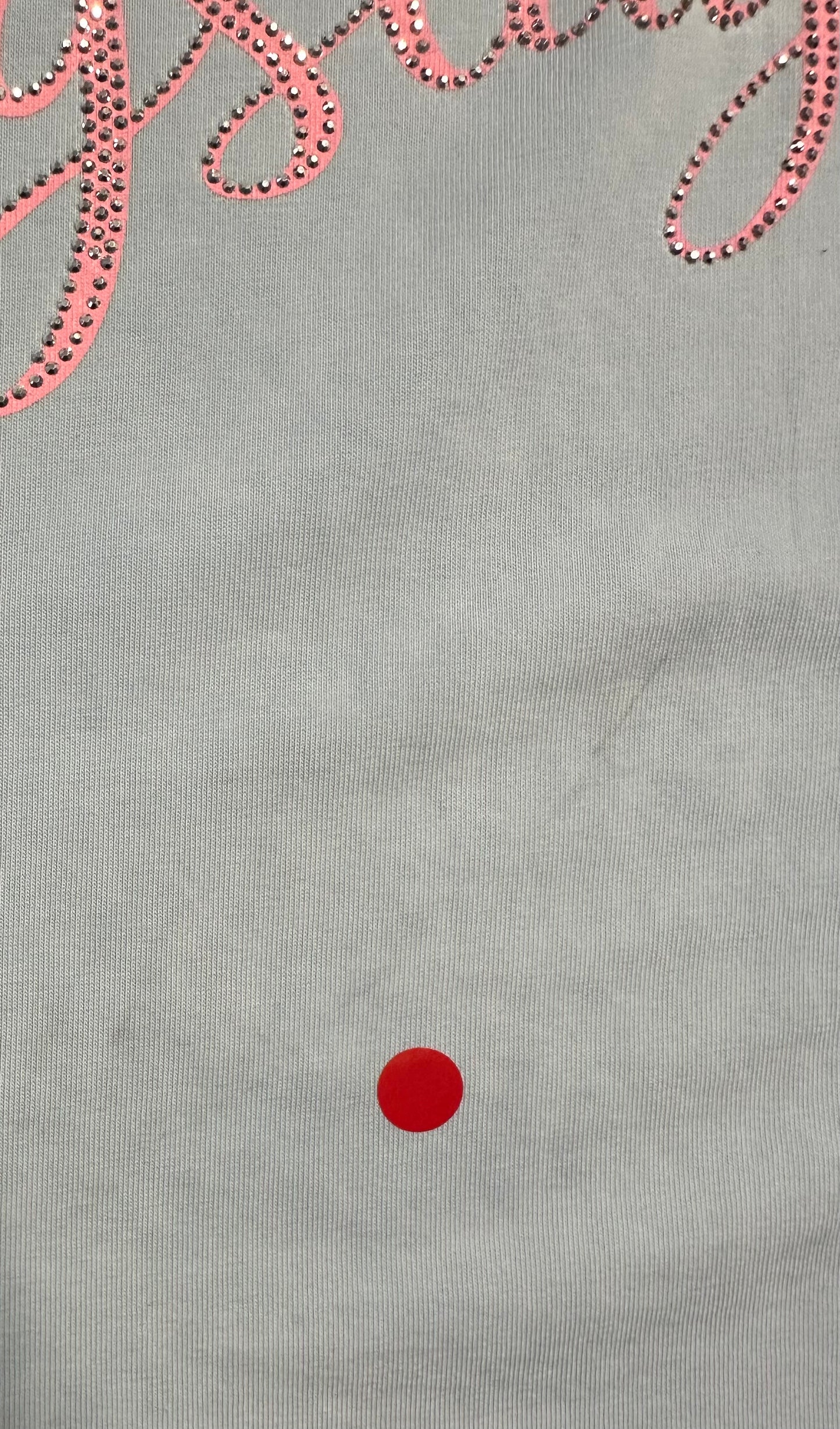 2. Wahl Shirt Lieblingstag - hellblau