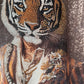 Jogg-Jeans im Used Look Tiger - denim