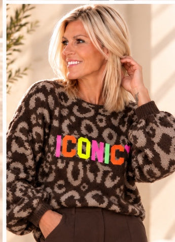 Leo Iconic Sweater - mocha multicolored